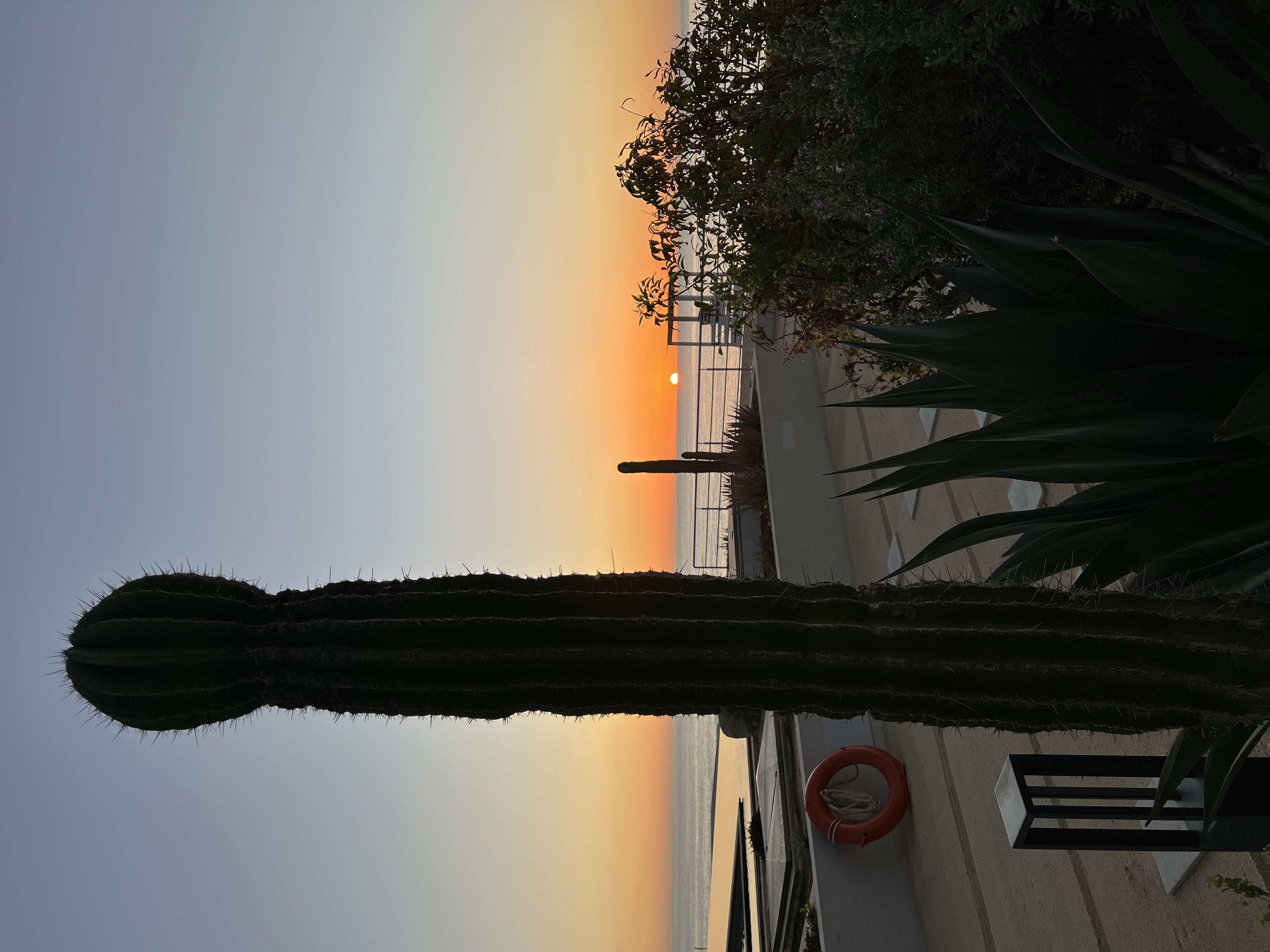 ./2024/13 - Cabo/IMG_4279.jpg